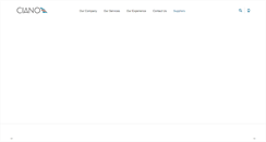 Desktop Screenshot of cianointernational.com